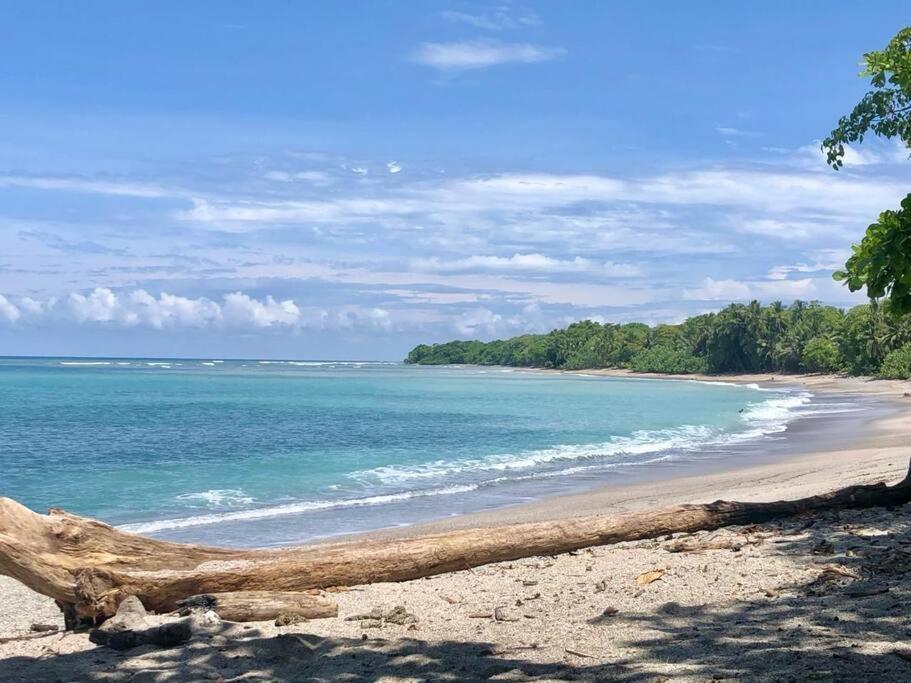 Finca Makai, Rodeado De Naturaleza, 10Min A مونتيزوما المظهر الخارجي الصورة