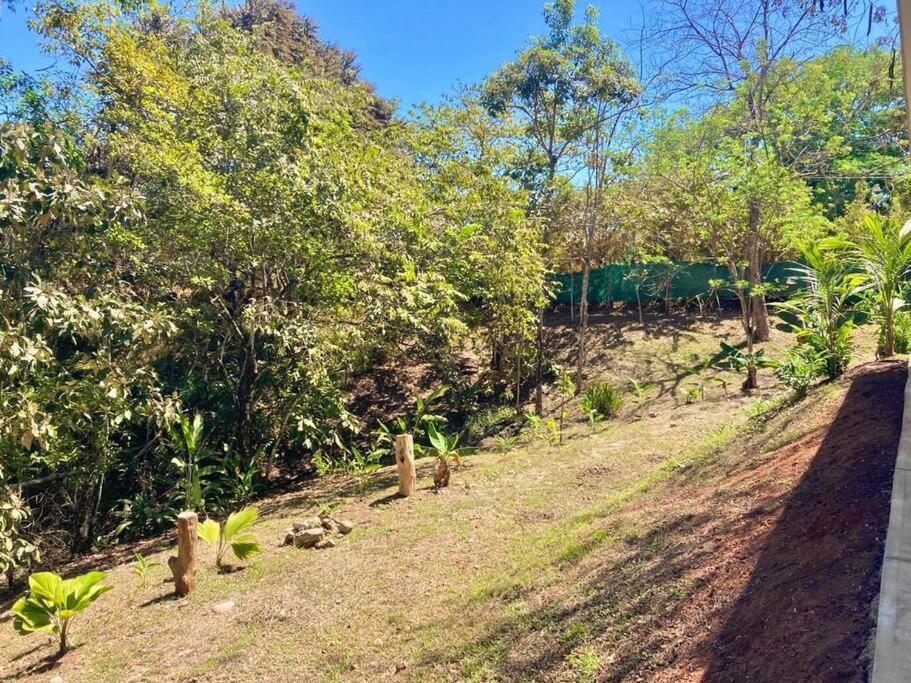 Finca Makai, Rodeado De Naturaleza, 10Min A مونتيزوما المظهر الخارجي الصورة